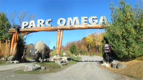 omega parc montebello canada|parc omega 2023.